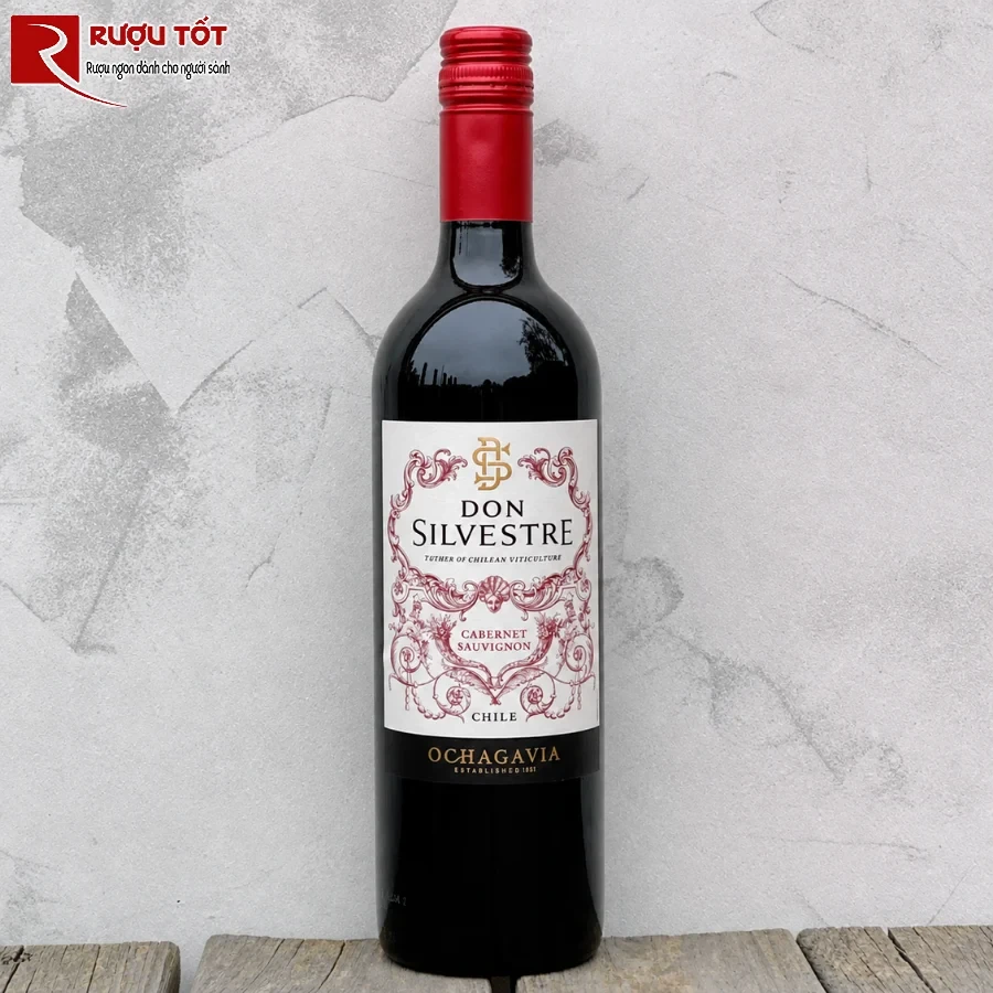 ochagavia don silvestre cabernet sauvignon 1
