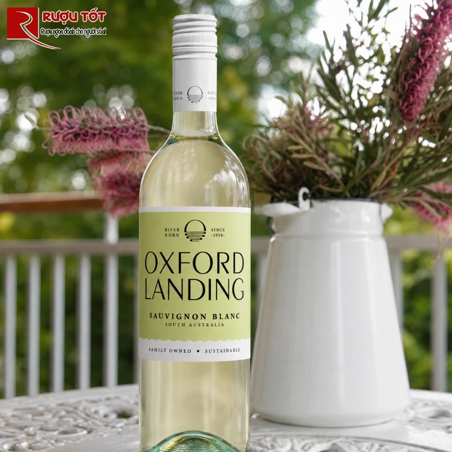 oxford landing sauvignon blanc 1