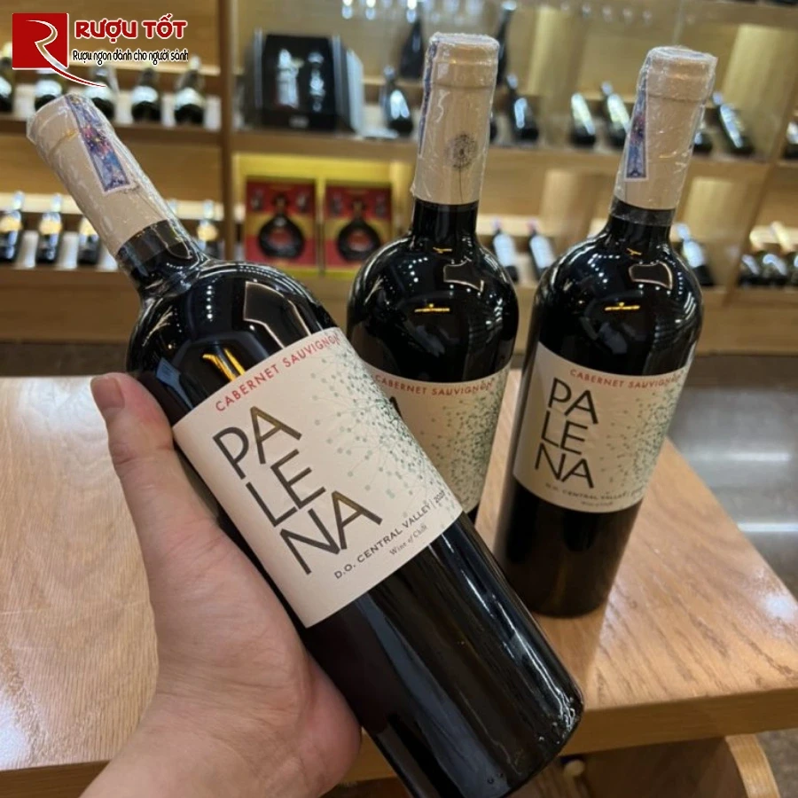 palena cabernet sauvignon 1