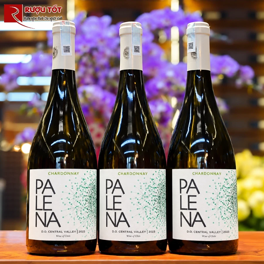 palena chardonnay 2