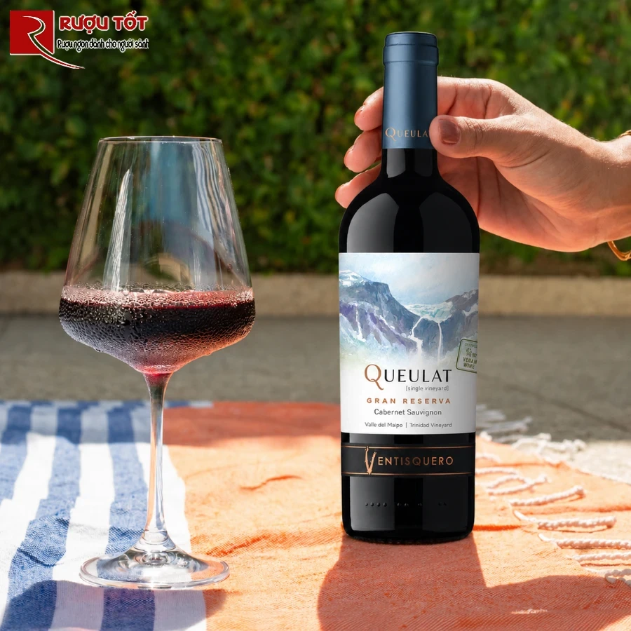 queulat gran reserva cabernet sauvignon 1