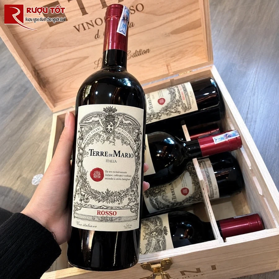 ruou terre di mario vino rosso