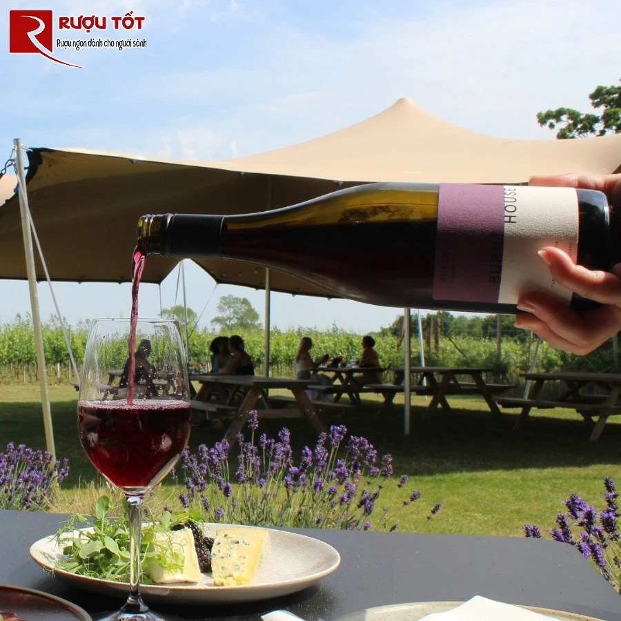 ruou vang va champagne dip su dung