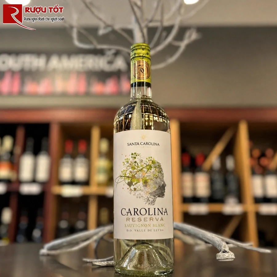 santa carolina reserva sauvignon blanc 1