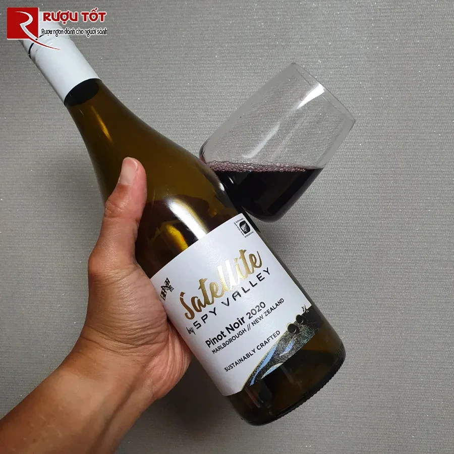 satellite pinot noir 1