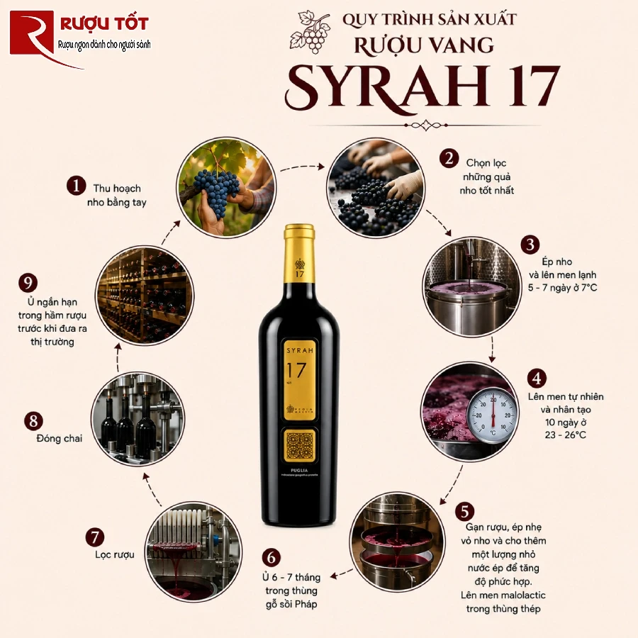 Syrah 17 (5)