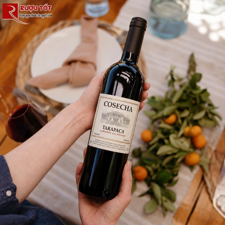 tarapaca cosecha cabernet sauvignon 1