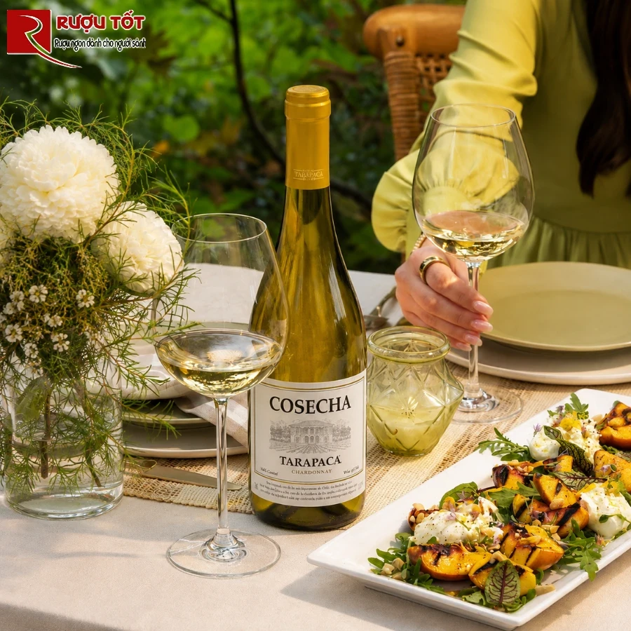 tarapaca cosecha chardonnay 1