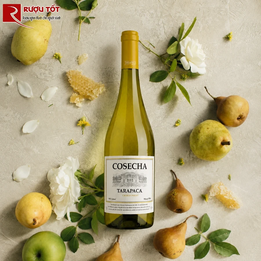 tarapaca cosecha chardonnay 2