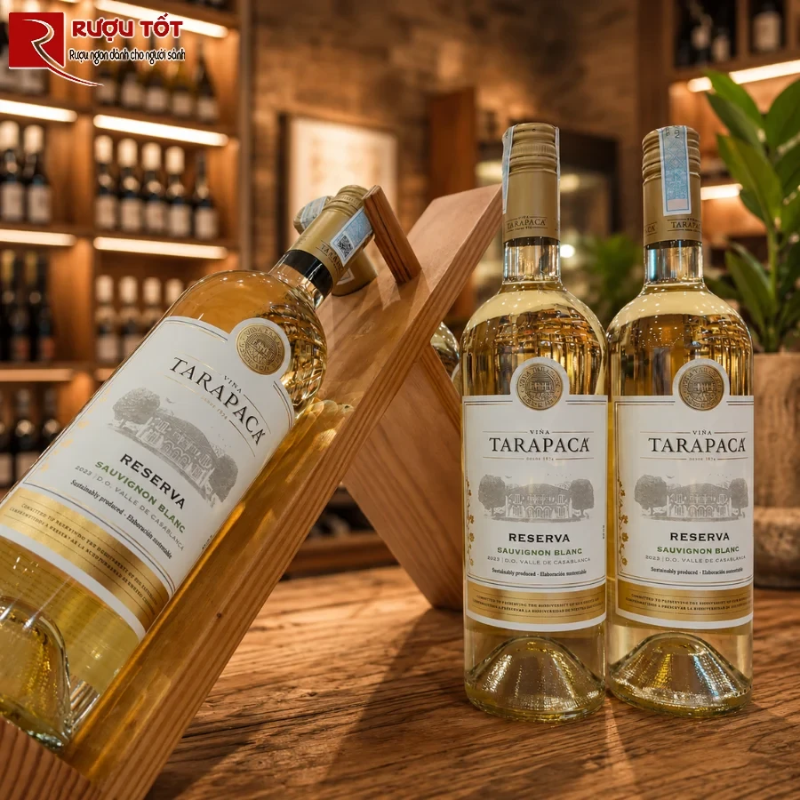 tarapaca reserva sauvignon blanc 2
