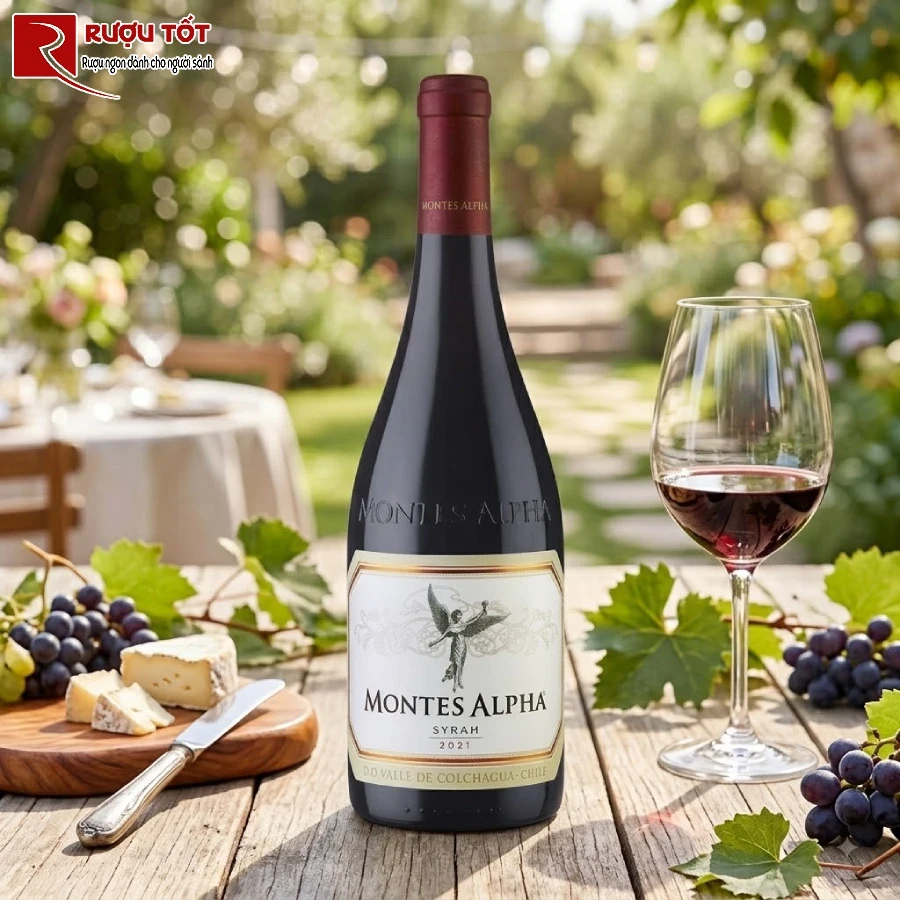 thuong thuc ruou vang Montes Alpha Syrah