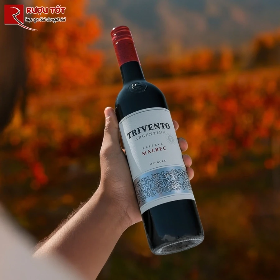trivento reserve malbec 2