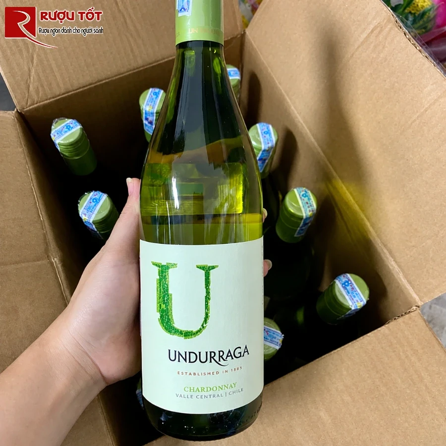 undurraga chardonnay 2