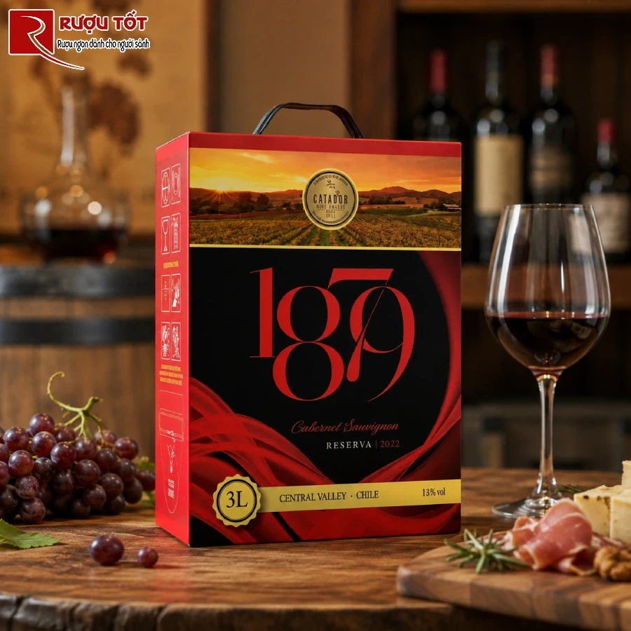 Vang Bịch 1879 Reserva Cabernet Sauvignon
