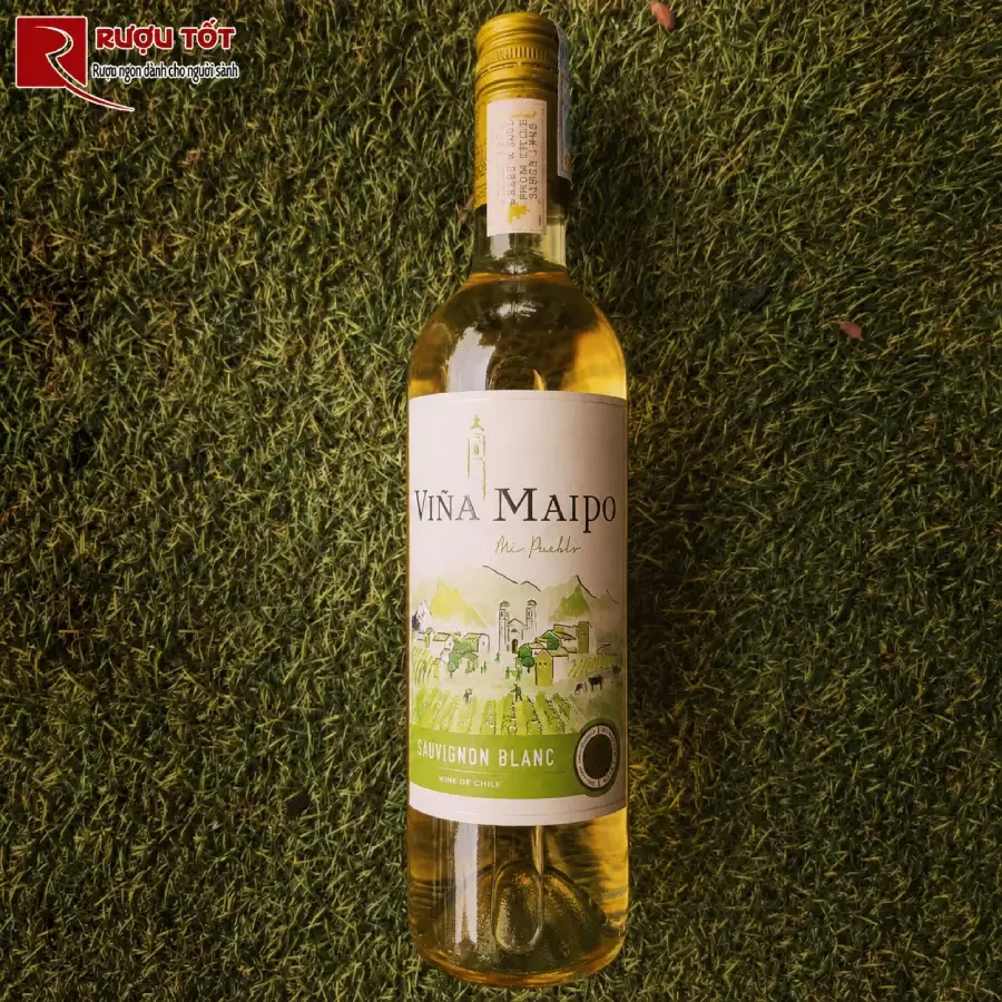 vina maipo sauvignon blanc 2