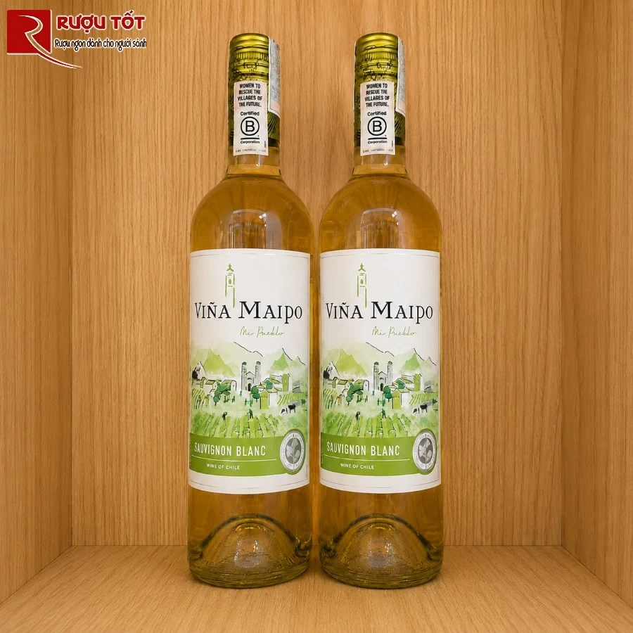 vina maipo sauvignon blanc