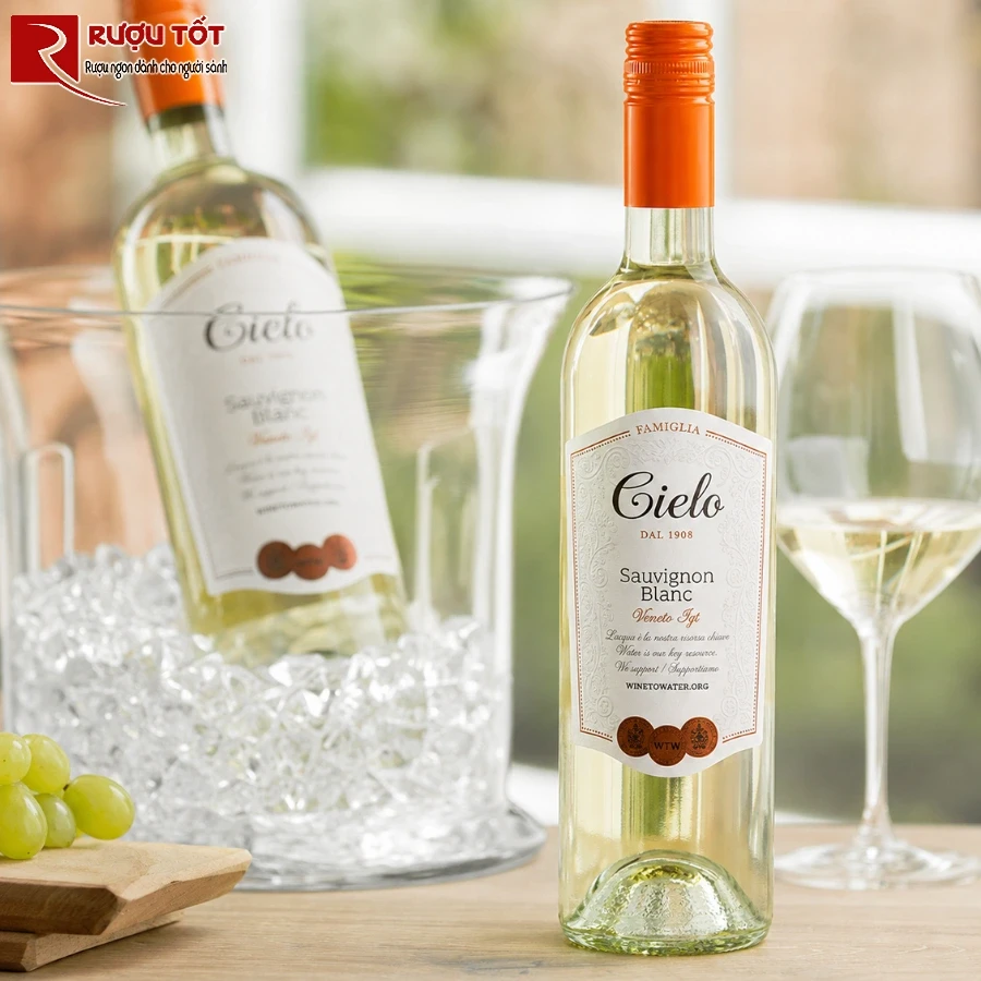 cielo sauvignon blanc 1