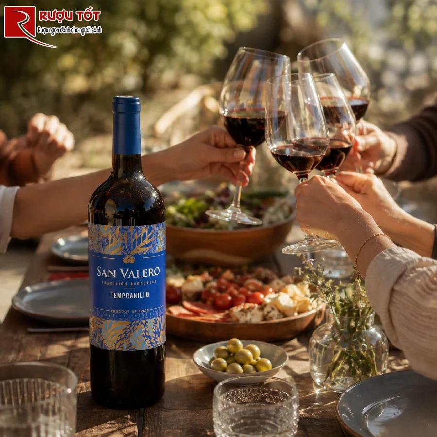 ruou vang san valero tempranillo