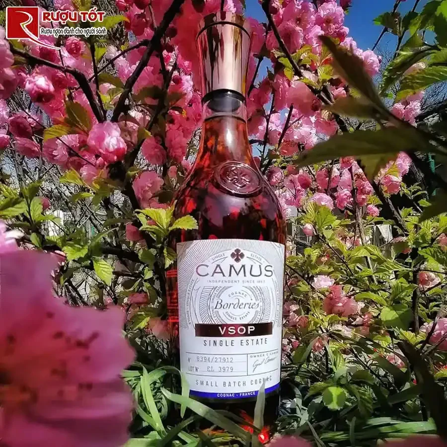 camus borderies vsop limited edition
