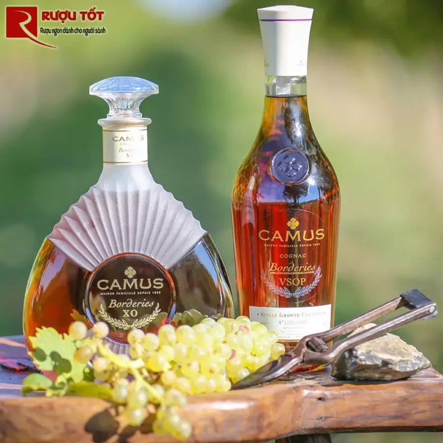 camus cognac borderies xo