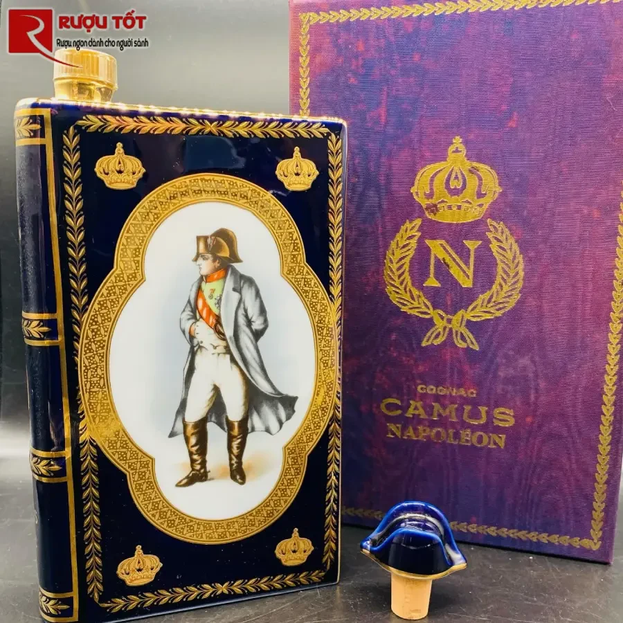 camus napoleon book