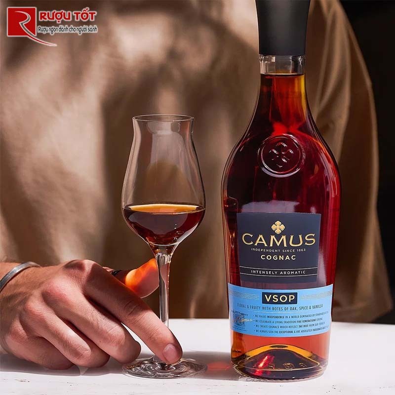 Camus VSOP-1