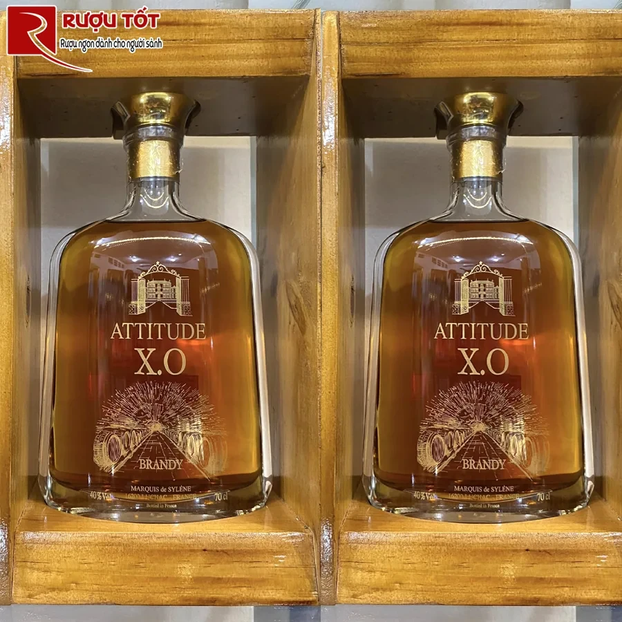 Rượu Attitude XO-1