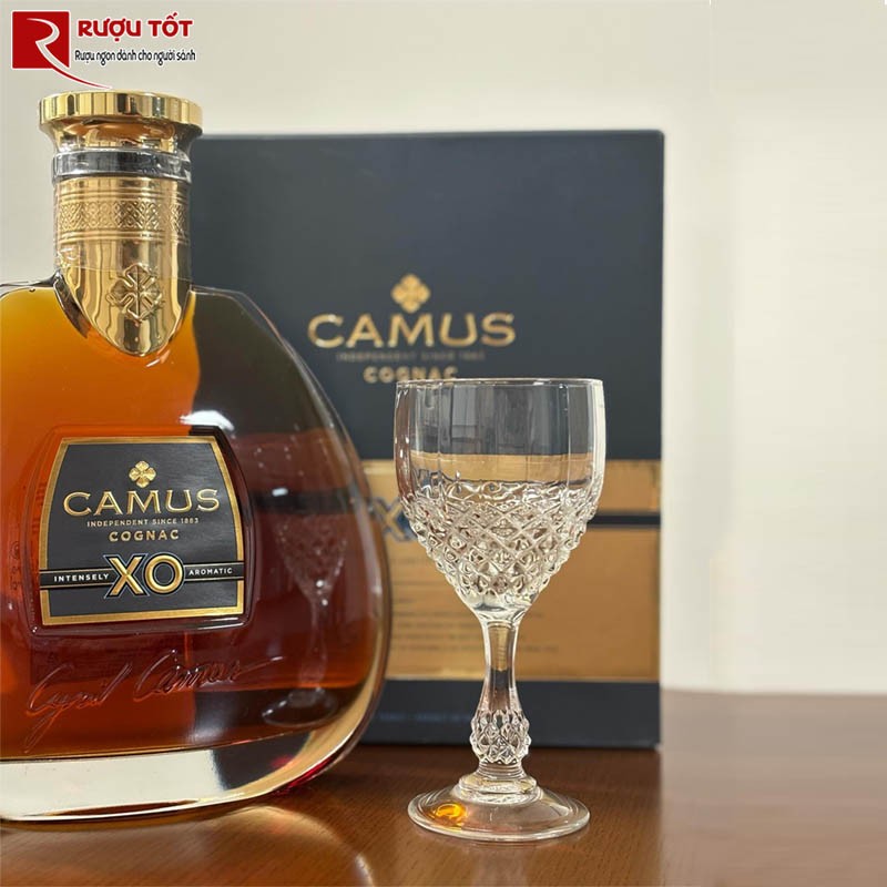 Rượu Camus XO Cognac Chính Hãng