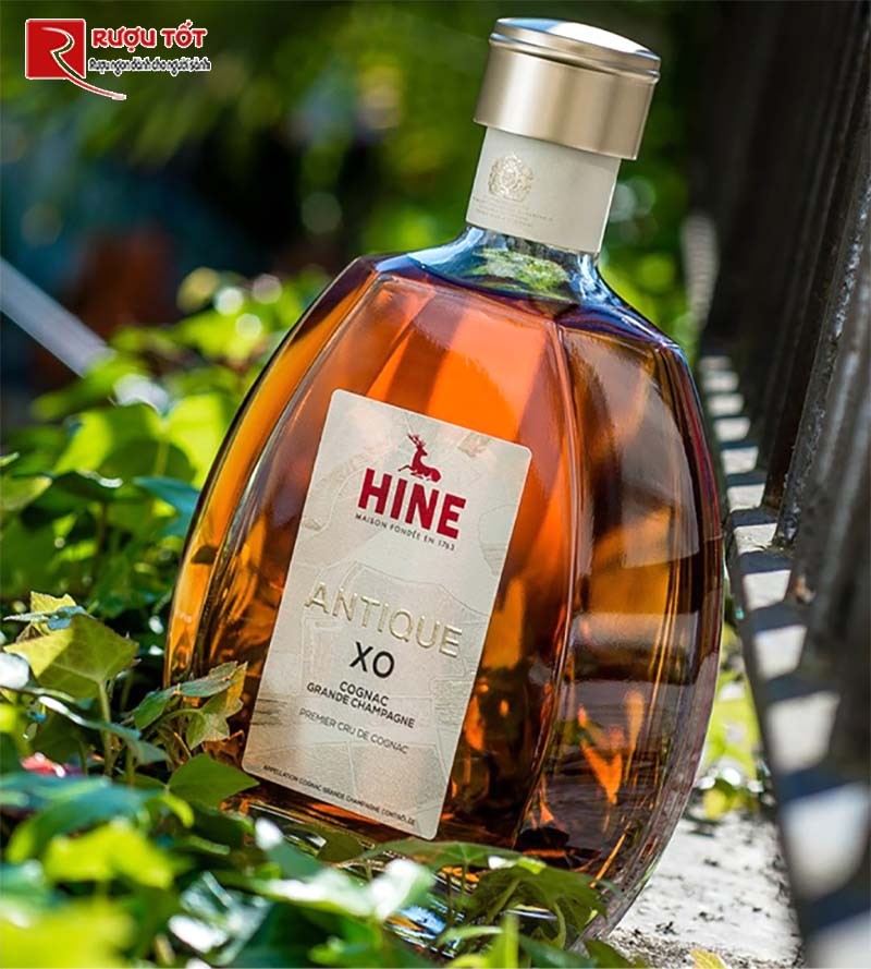 Rượu Cognac Hine Antique XO Cognac