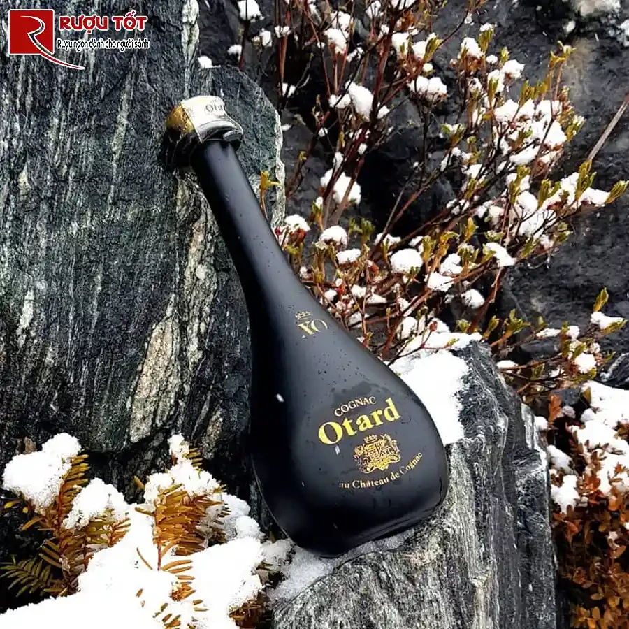 ruou cognac otard xo chat luong