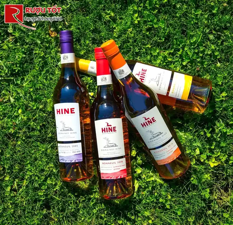 Rượu Hine Cognac