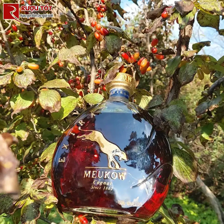 ruou meukow extra chinh hang