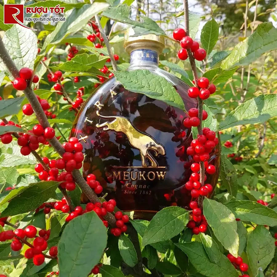 ruou meukow extra gia tot