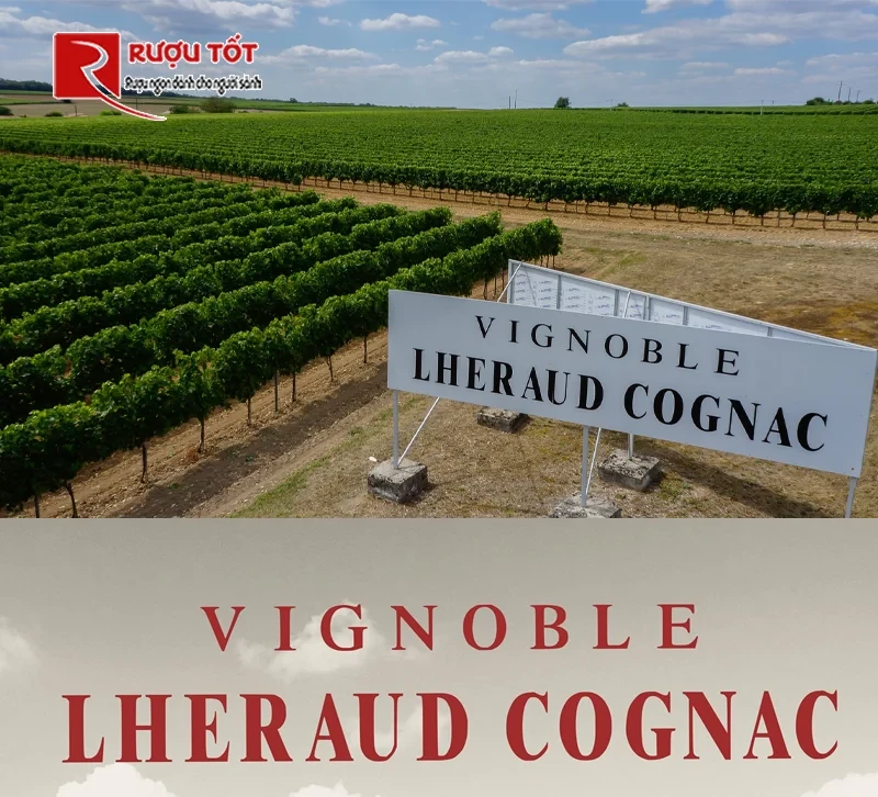 Rượu Pháp Lheraud Cognac