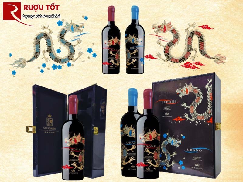 Vang Con Rồng Attanasio 