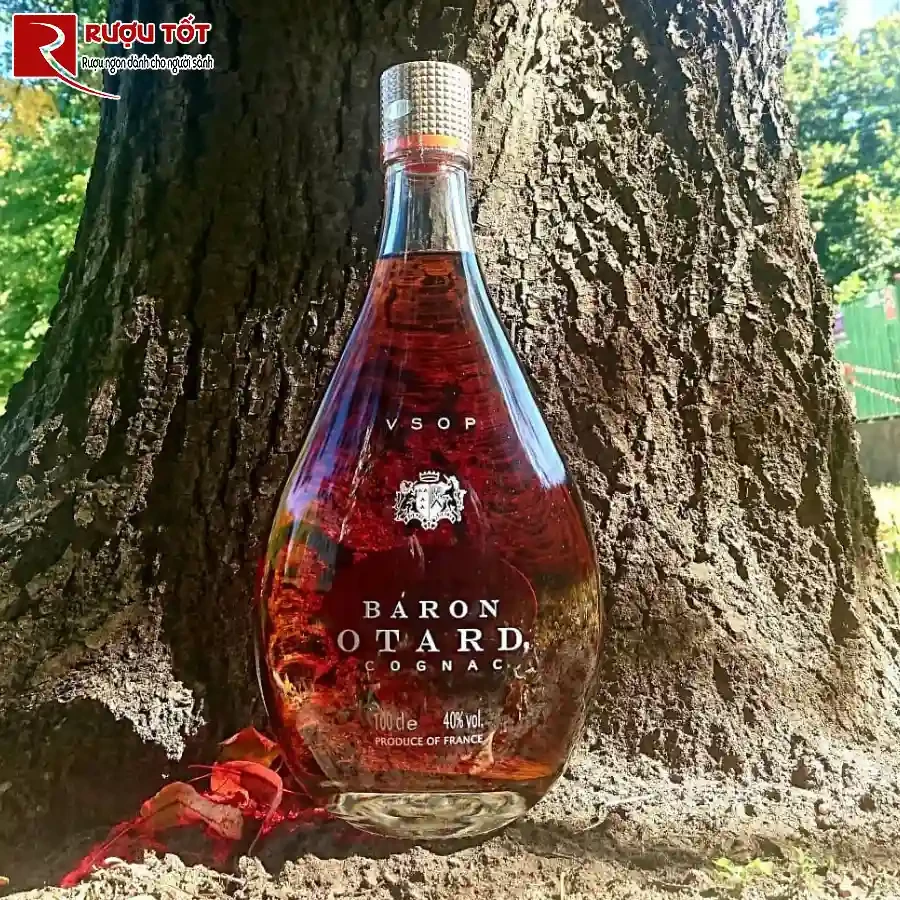 ruou baron otard cognac chinh hang