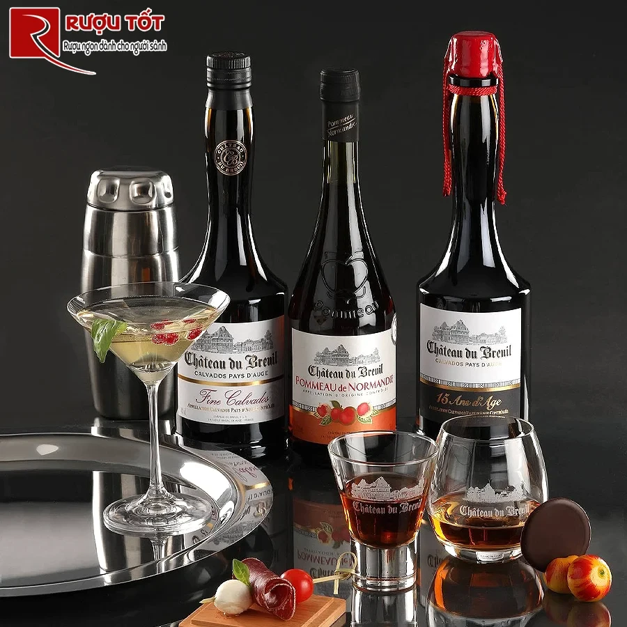 Rượu Pháp Chateau du Breuil 15 năm