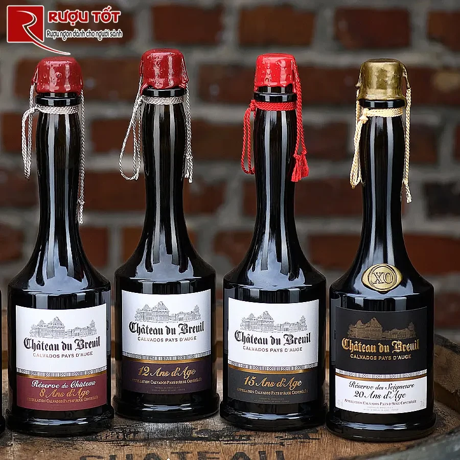 Rượu Pháp Chateau du Breuil 20 năm