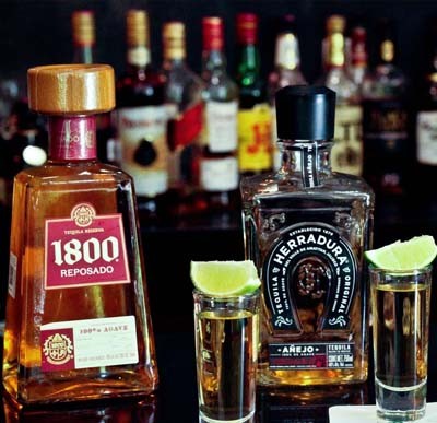 Rượu Tequila