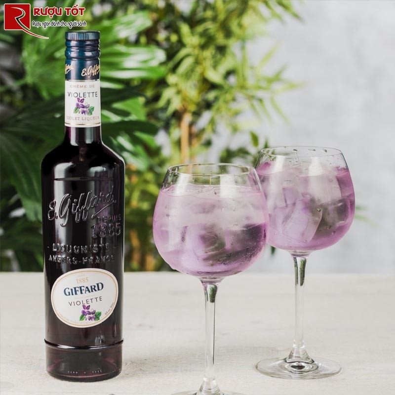 Rượu Giffard Violet