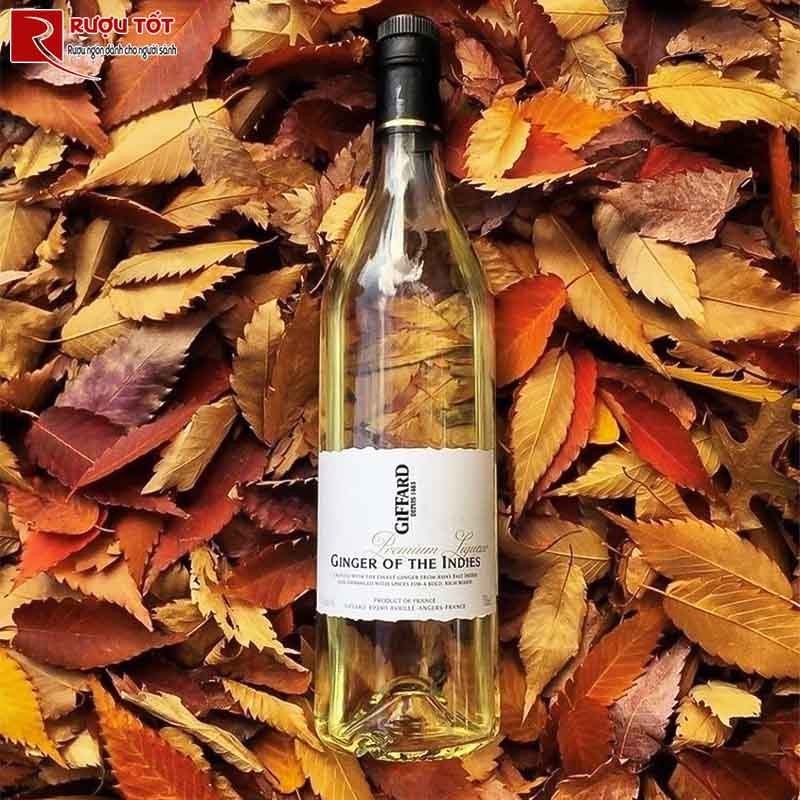 Rượu Mùi Giffard Ginger of the Indies