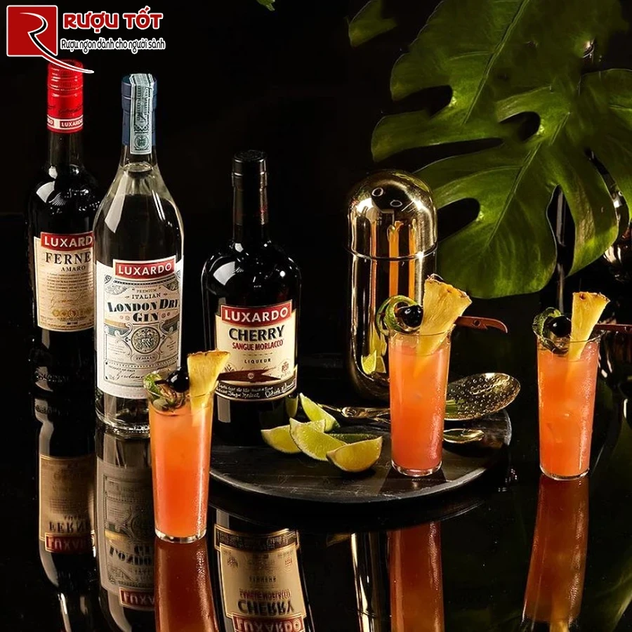Rượu Ý Luxardo Fernet Amaro