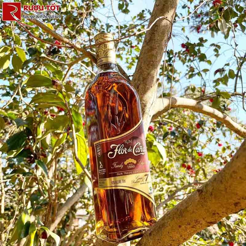 Flor de Cana 7