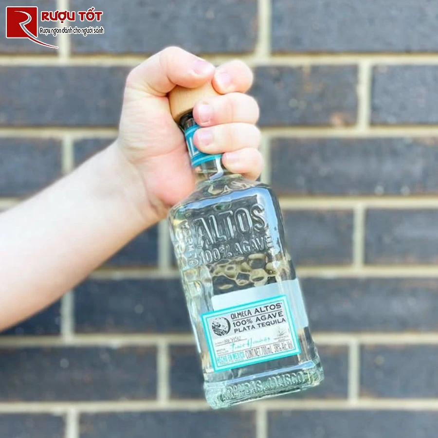 ruou olmeca altos plata gia re