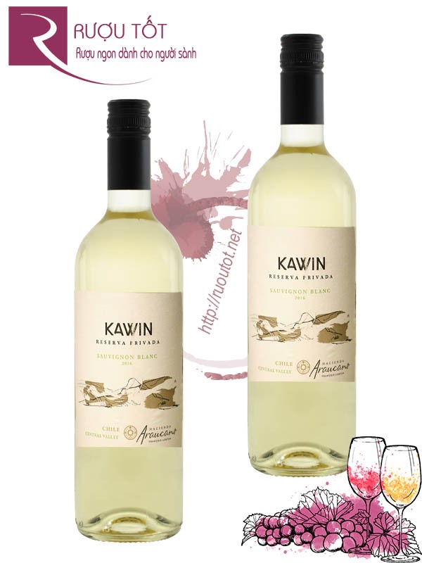 Rượu Vang Francois Lurton Hacienda Araucano Kawin Sauvignon Blanc