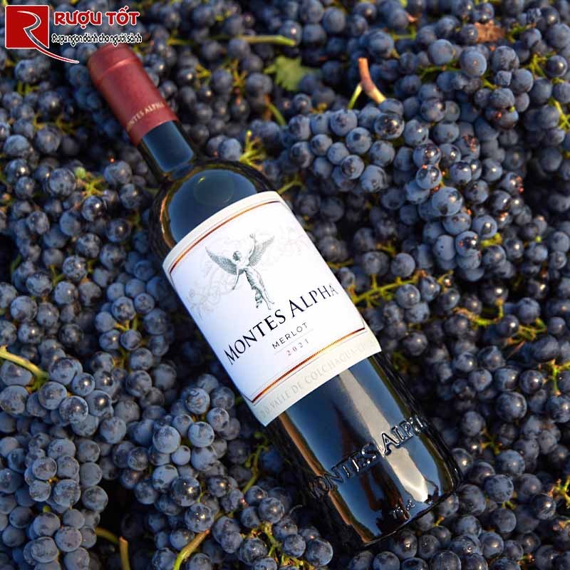Montes alpha merlot