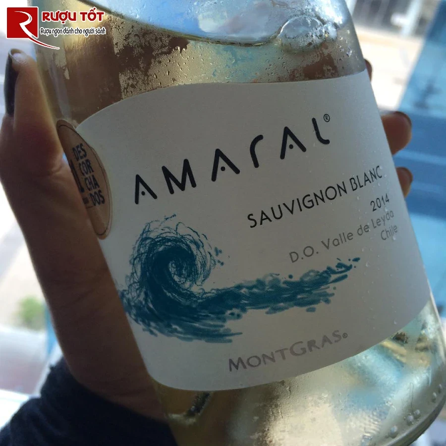 ruou amaral sauvignon blanc leyda valley