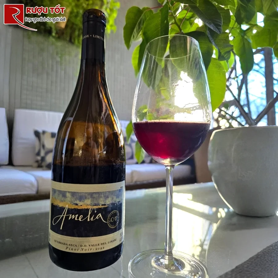 ruou amelia quebrada seca do valle del limari pinot noir chile