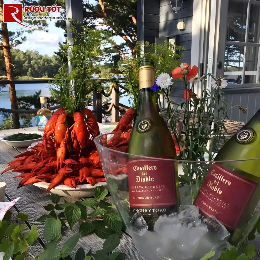 ruou casillero del diablo reserva especial chardonnay