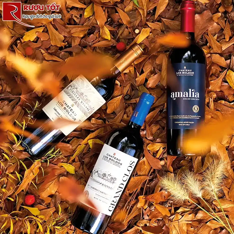 Rượu Chateau Los Boldos Vieilles Vignes